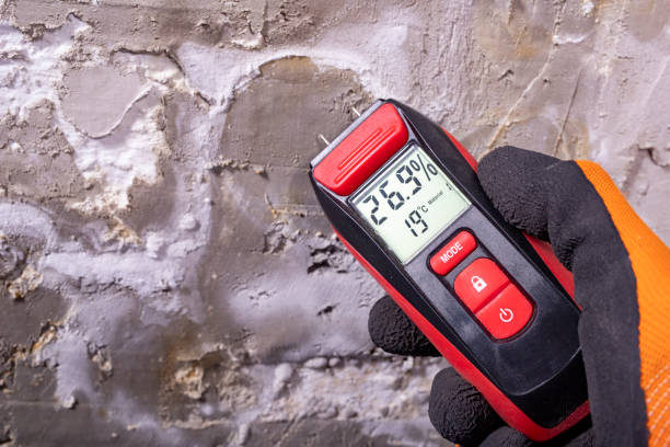 Mold Removal and Inspection in Plymouth, MN