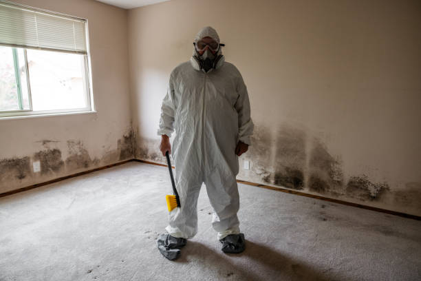 Crawl Space Mold Removal in Plymouth, MN